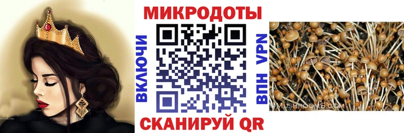 Галлюциногенные грибы MAGIC MUSHROOMS  Тетюши 